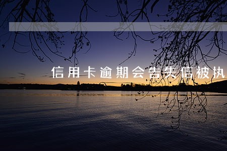 信用卡逾期会告失信被执行人 信用卡逾期会告失信被执行人
