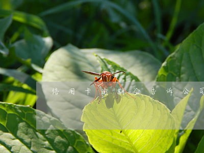 信用卡逾期会告诉公司吗