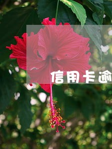 信用卡逾期会回收我的车吗 信用卡逾期会回收我的车吗