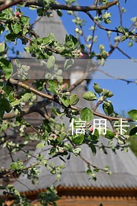 信用卡逾期会在当地派出所立案吗