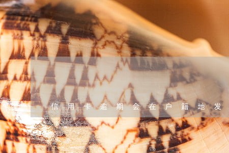 信用卡逾期会在户籍地发公告吗