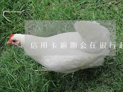 信用卡逾期会在银行起诉吗