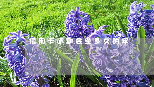 信用卡逾期会坐多久的牢 信用卡逾期会坐多久的牢