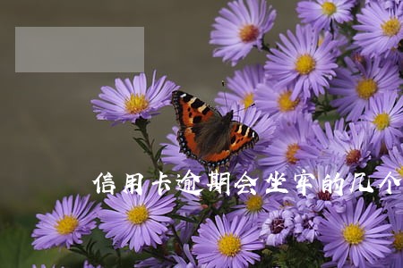 信用卡逾期会坐牢的几个高危情况