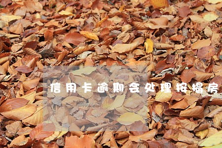 信用卡逾期会处理按揭房吗