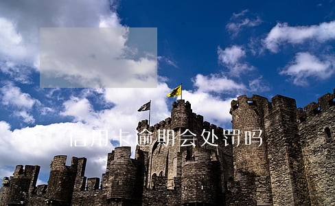 信用卡逾期会处罚吗