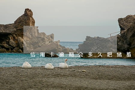 信用卡逾期会多久把储蓄卡冻了 信用卡逾期会多久把储蓄卡冻了
