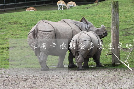信用卡逾期会多次坐牢吗