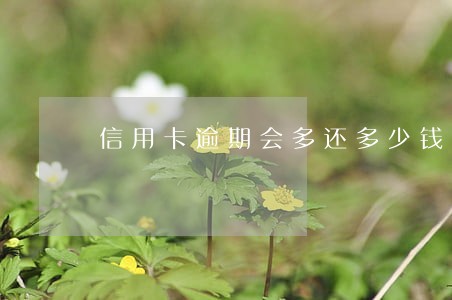 信用卡逾期会多还多少钱 信用卡逾期会多还多少钱