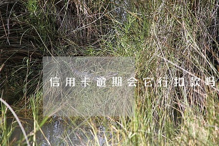 信用卡逾期会它行扣款吗 信用卡逾期会它行扣款吗