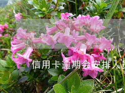 信用卡逾期会安排人员上门吗 信用卡逾期会安排人员上门吗