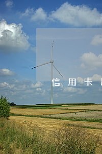 信用卡逾期会定义网逃吗 信用卡逾期会定义网逃吗