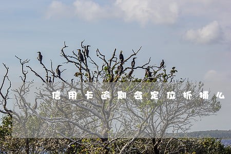 信用卡逾期会定位抓捕么 信用卡逾期会定位抓捕么