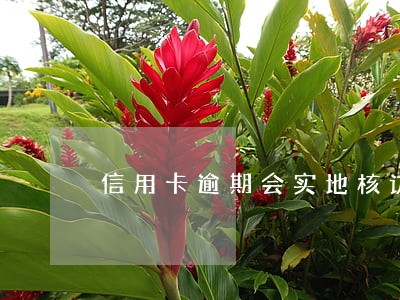 信用卡逾期会实地核访吗 信用卡逾期会实地核访吗
