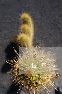 信用卡逾期会寄什么快递 信用卡逾期会寄什么快递