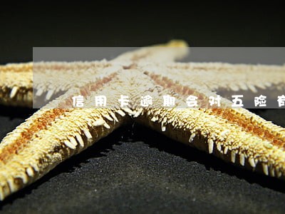 信用卡逾期会对五险有影响吗 信用卡逾期会对五险有影响吗