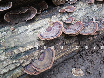 信用卡逾期会对孩子造成影响吗