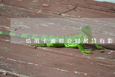 信用卡逾期会对房贷有影响吗 信用卡逾期会对房贷有影响吗