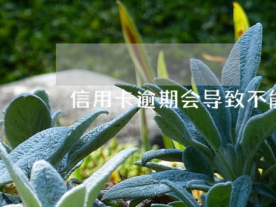信用卡逾期会导致不能学驾照吗 信用卡逾期会导致不能学驾照吗
