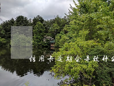 信用卡逾期会导致什么结果 信用卡逾期会导致什么结果