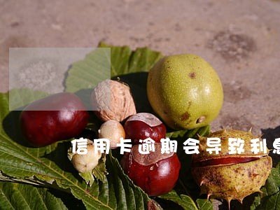 信用卡逾期会导致利息超过本金吗 信用卡逾期会导致利息超过本金吗