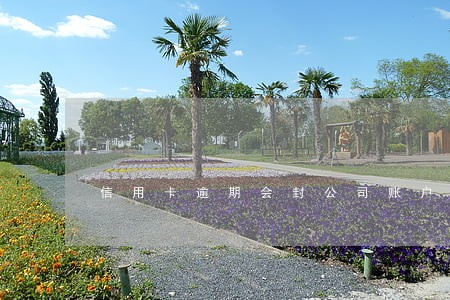 信用卡逾期会封公司账户吗