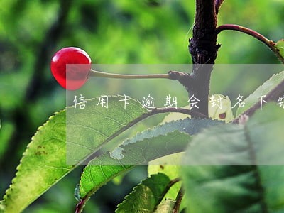 信用卡逾期会封名下银行卡吗 信用卡逾期会封名下银行卡吗