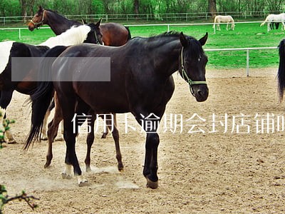 信用卡逾期会封店铺吗 信用卡逾期会封店铺吗
