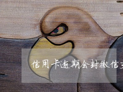 信用卡逾期会封微信支付宝吗 信用卡逾期会封微信支付宝吗