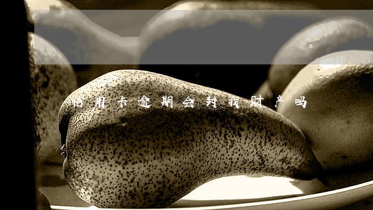 信用卡逾期会封我财产吗 信用卡逾期会封我财产吗