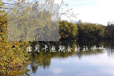 信用卡逾期会封社保吗 信用卡逾期会封社保吗
