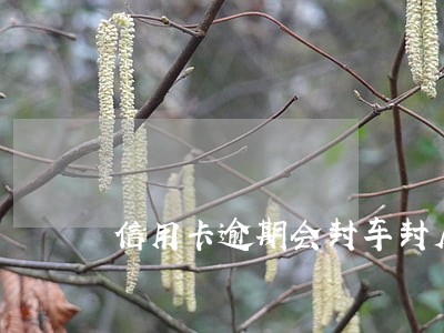 信用卡逾期会封车封房吗