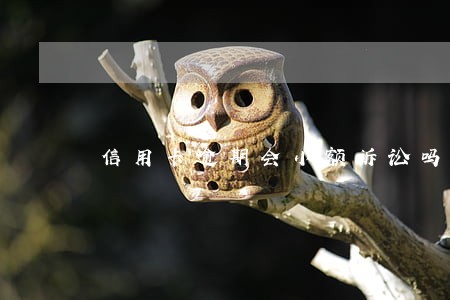 信用卡逾期会小额诉讼吗 信用卡逾期会小额诉讼吗