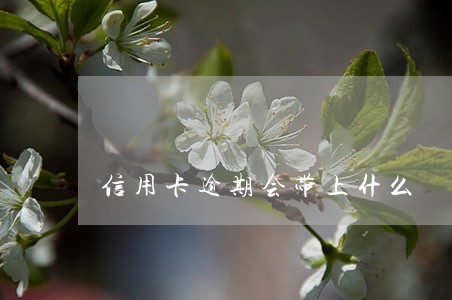 信用卡逾期会带上什么 信用卡逾期会带上什么