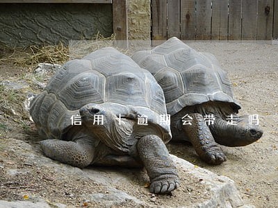 信用卡逾期会带走吗