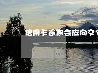 信用卡逾期会应向交公积金吗 信用卡逾期会应向交公积金吗