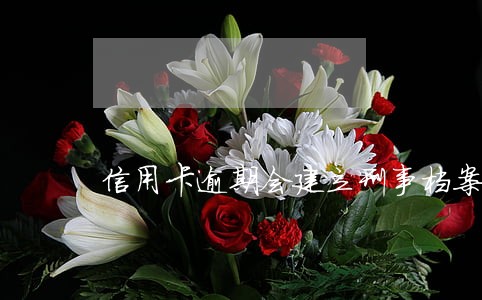 信用卡逾期会建立刑事档案吗 信用卡逾期会建立刑事档案吗