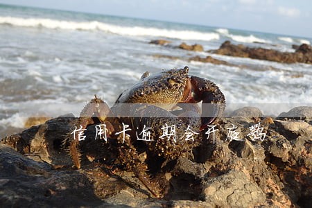 信用卡逾期会开庭嘛