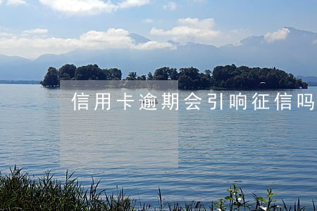 信用卡逾期会引响征信吗