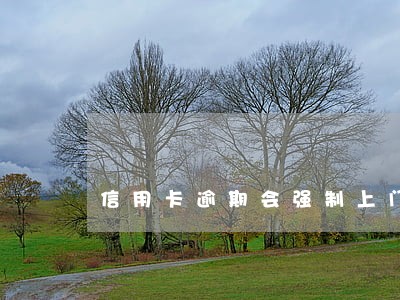信用卡逾期会强制上门嘛