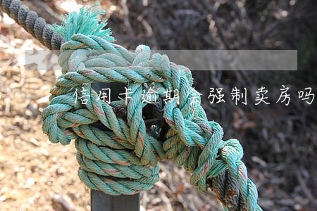信用卡逾期会强制卖房吗 信用卡逾期会强制卖房吗