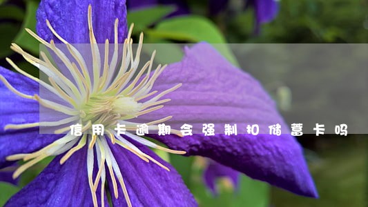 信用卡逾期会强制扣储蓄卡吗 信用卡逾期会强制扣储蓄卡吗