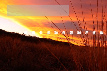 信用卡逾期会强制还全部么 信用卡逾期会强制还全部么