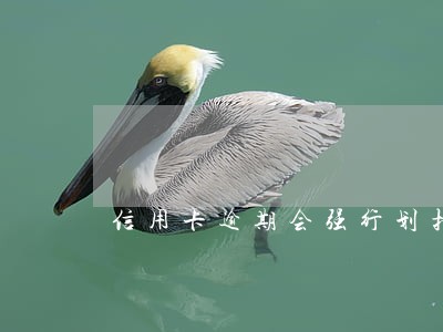 信用卡逾期会强行划扣配偶的吗 信用卡逾期会强行划扣配偶的吗