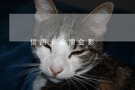 信用卡逾期会影 信用卡逾期会影
