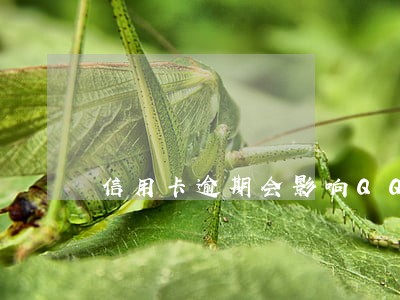 信用卡逾期会影响QQ吗 信用卡逾期会影响QQ吗