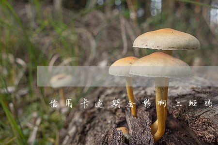 信用卡逾期会影响上班吗 信用卡逾期会影响上班吗