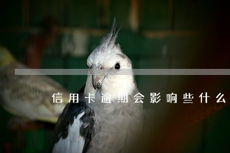 信用卡逾期会影响些什么 信用卡逾期会影响些什么