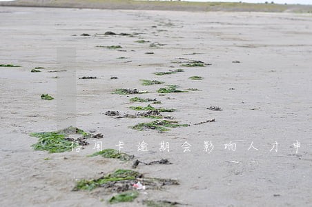 信用卡逾期会影响人才申报吗