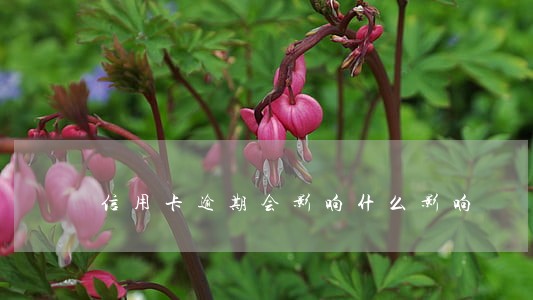 信用卡逾期会影响什么影响 信用卡逾期会影响什么影响